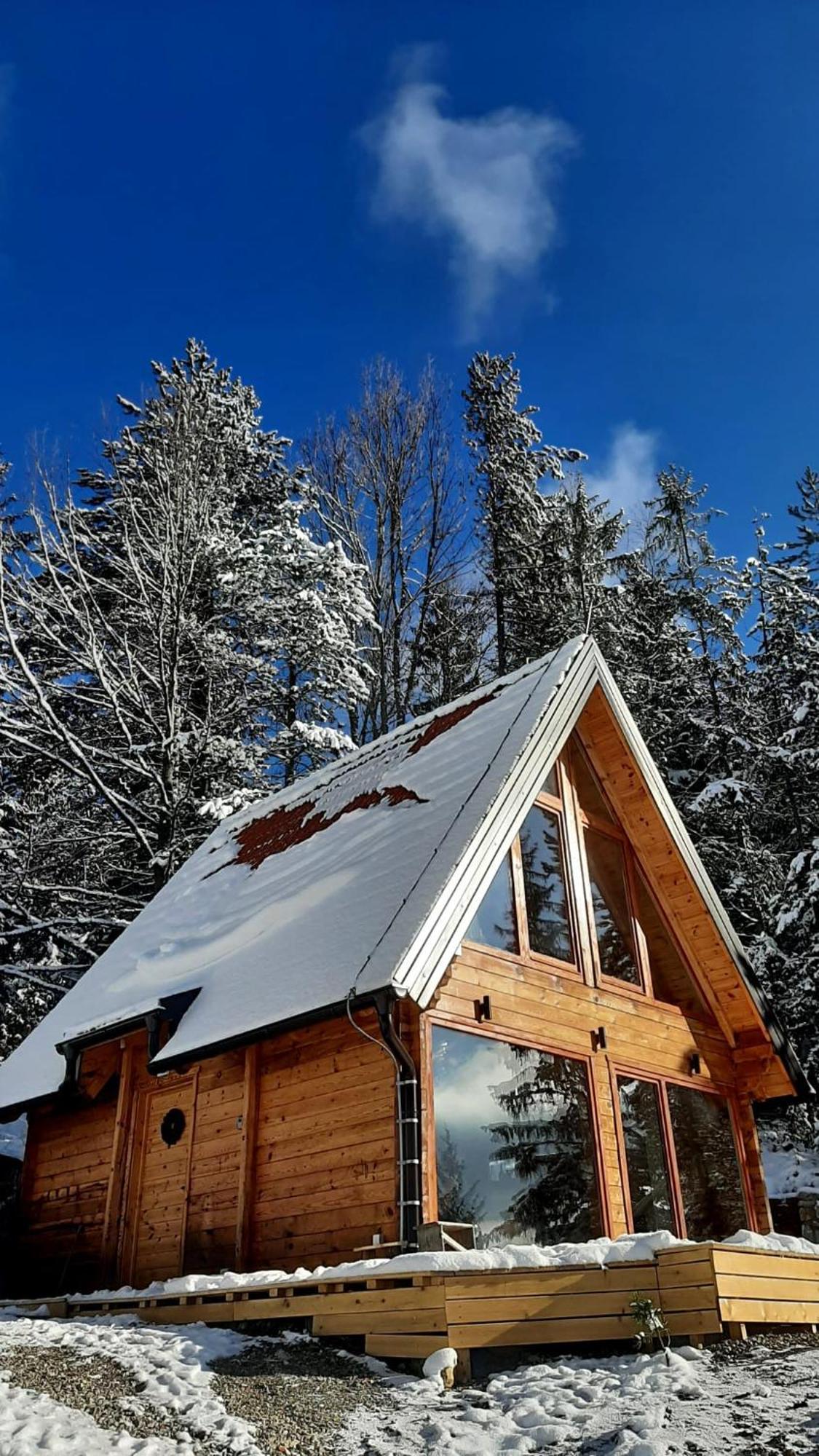 Zaovinska Idila Villa Bjelusa Exterior photo