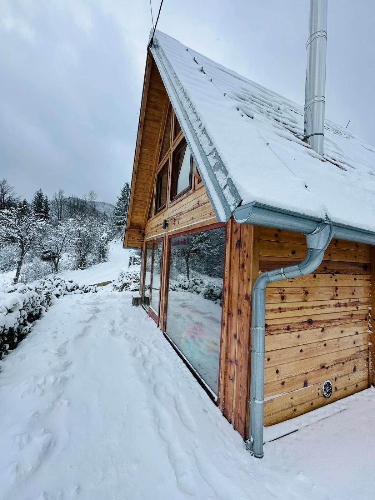 Zaovinska Idila Villa Bjelusa Exterior photo